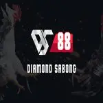 DS88 cockfighting